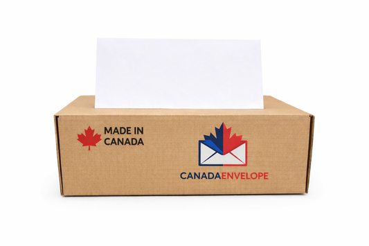 #10 Envelopes Windowless Security Tinted 24 lb White Gummed 500 Qty