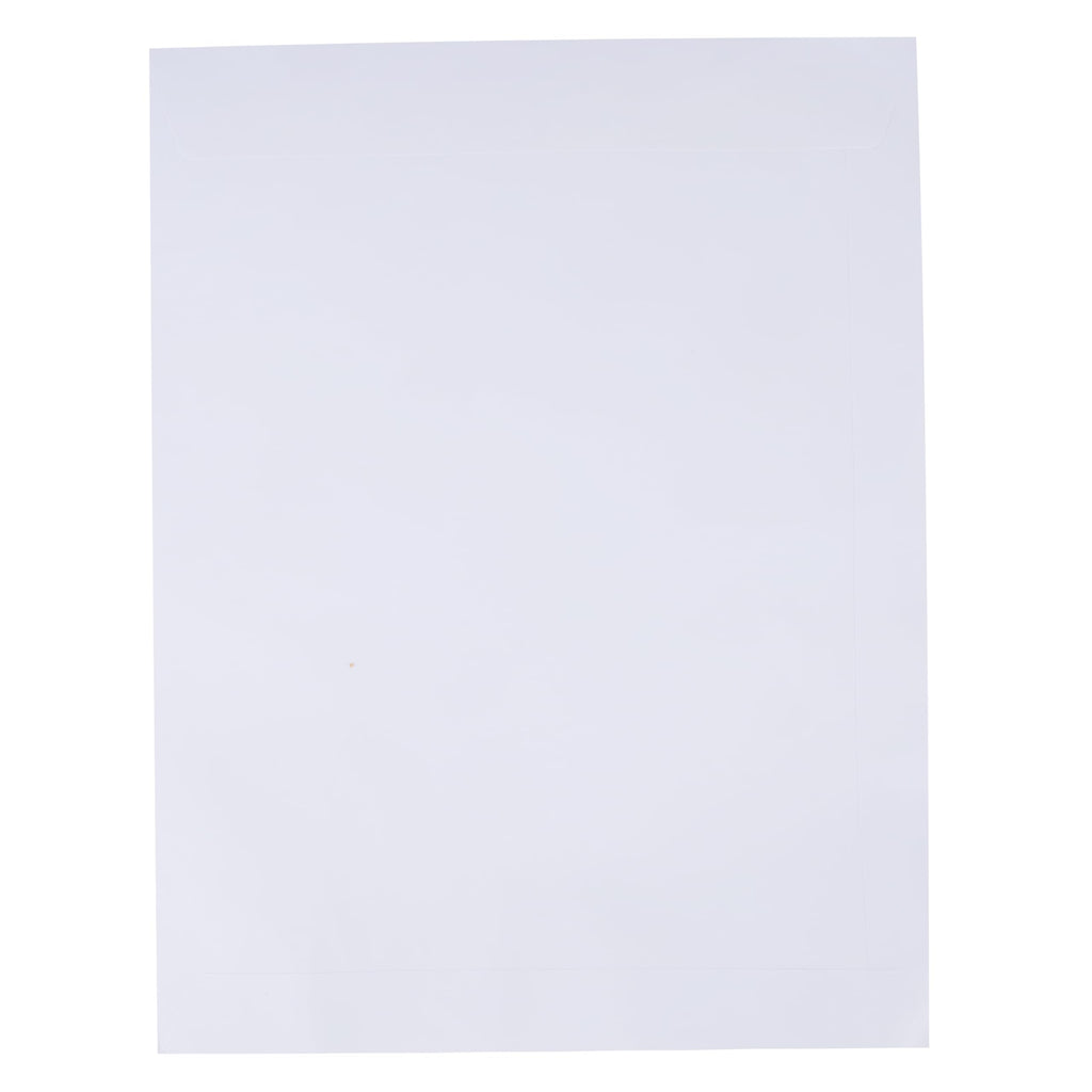 9x12 250 Qty OVELPAPER Catalog Envelopes 28lb Paper | Bright White Envelope for Home, Mailing Documents, Office, Business, Legal or School | Made in Canada |